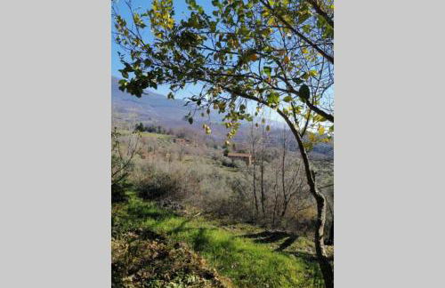 Casa Rural: La Casa Mágica de Gredos - Foto 22