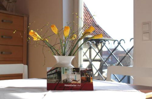 himmlischer Hof - Juwel von 1477 mit P, romantischer Innenhof, Kamin, Öko, Denkmal - Foto 11