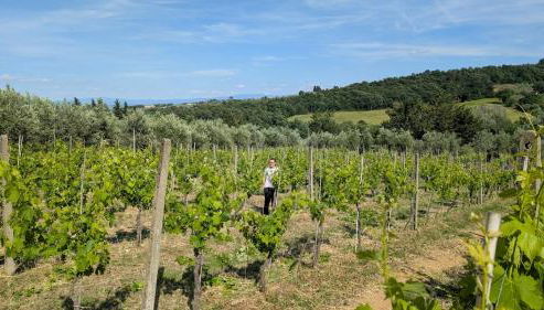 Agriturismo Amici Miei - Foto 2