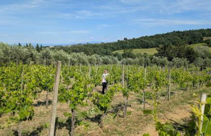 Agriturismo Amici Miei - Foto 2