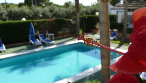 Sagitario Vista Playa I Apartamentos - Foto 3