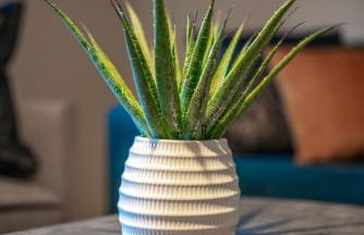 Bonnie Apartment - Foto 17