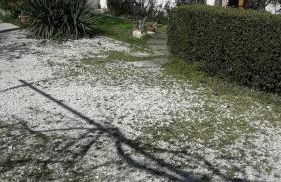 Lovely hayloft - Incantevole barchessa - Foto 20