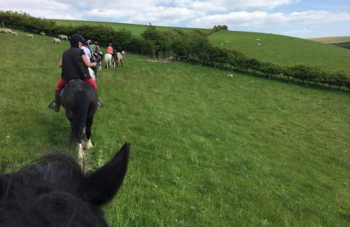 Long Mountain Centre Log Cabins - Foto 39