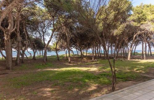 Casa Vacanza Trentapassi Rivabella 2-6 posti letto - Foto 21