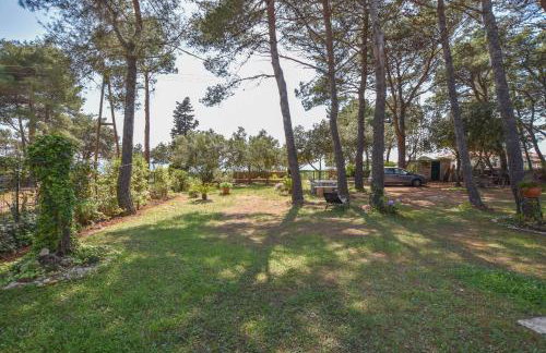 Apartment Ivan - Photo 10