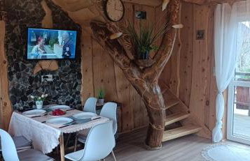 Bieszczadzka Chatka Gosia - Off Road , Quady , Jazda Konna - Foto 2