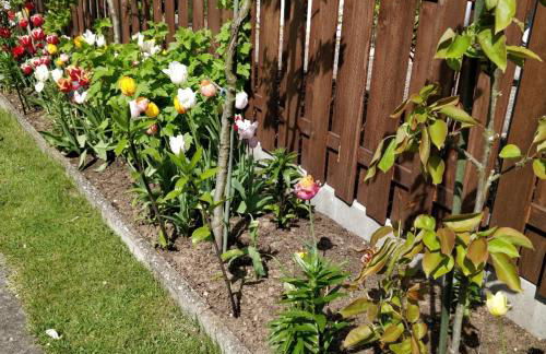 Gästehaus am Teich - Foto 20