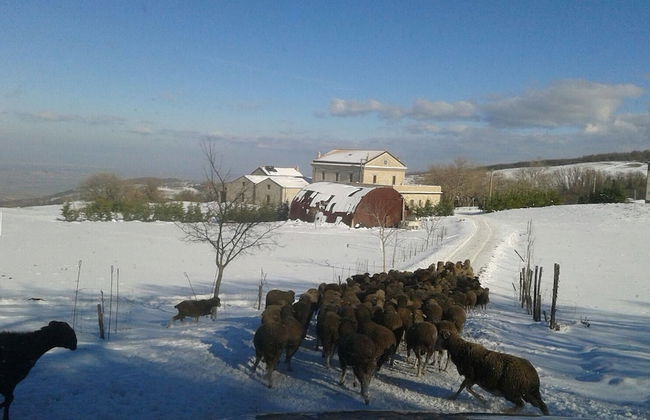 Masseria Salecchia - Photo 48