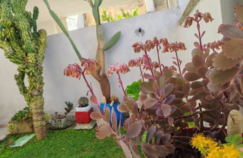 Casetta Manila - Photo 17