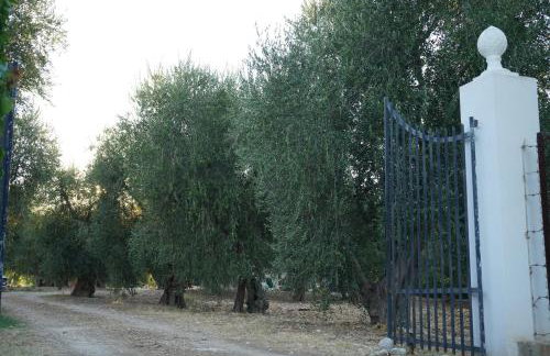Olive&Sea Villa-SEA - Foto 42