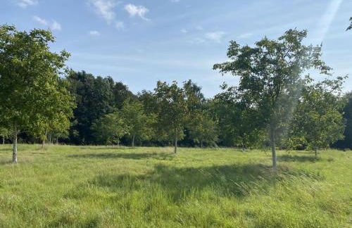 Kleines Ferienhäuschen im Grünen am Wasser - Foto 8