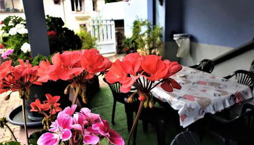 Au nid de la foret - Foto 4