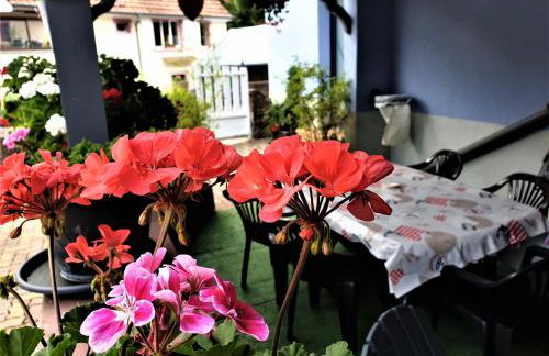 Au nid de la foret - Foto 4