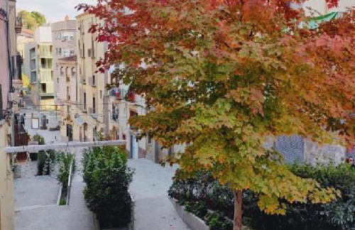 Antic Manresa Atico - Photo 12