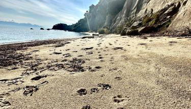 Elaias Thea Sea View Home - Foto 4