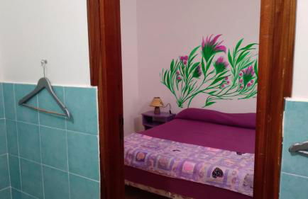 le case dei fiori - Foto 36