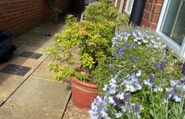 Coachmans Rest - Foto 15