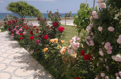 Asterina Seaside Apartments - Photo 64