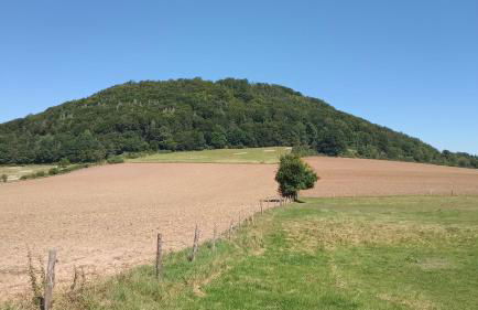 Ferienwohnung MW 1b 82m2 Höxter Weserbergland Weser inkl 2 Terrassen Wäsche und Endreinigung Self CheckIn - Foto 10