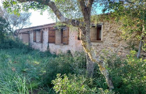 Finca na Pruna Holiday Home - Foto 27