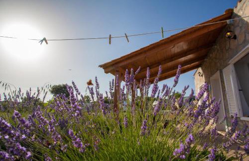 Krcina Holiday Home - Photo 30