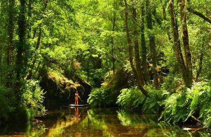 Quinta de Cypriano - Wine & Nature - Foto 112