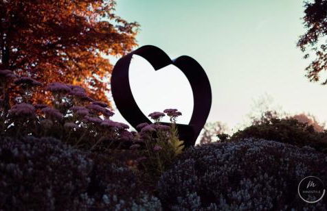 Zu Gast bei Freunden - Foto 25