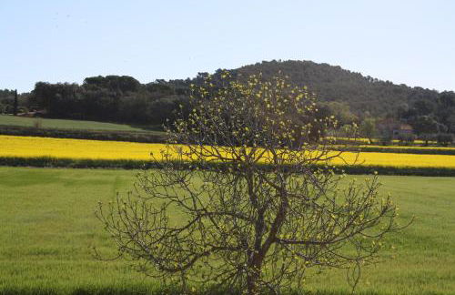 Masía Rural Can Poch - Foto 33