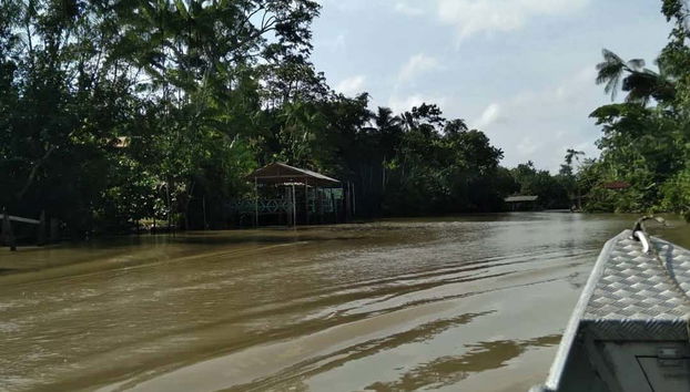 Paseo en barco por la isla de Combú