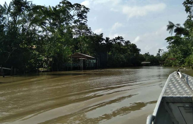 Paseo en barco por la isla de Combú - Foto 2