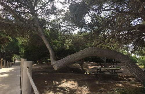 Apartamento el Descanso - Foto 20