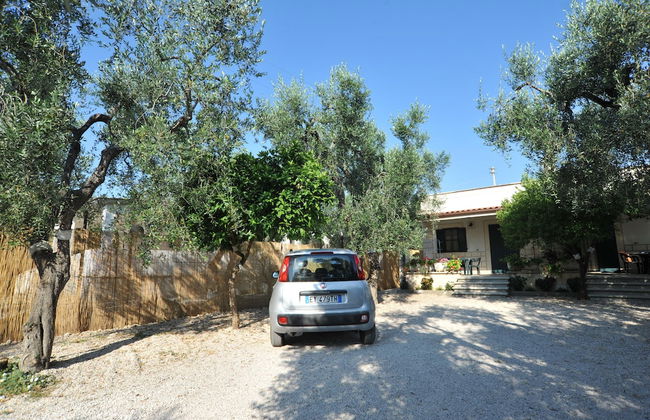 Villa Melena - Photo 16
