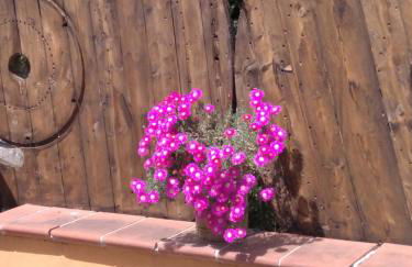 CASA VACANZE FONDACO DI SCILLATO - Foto 25