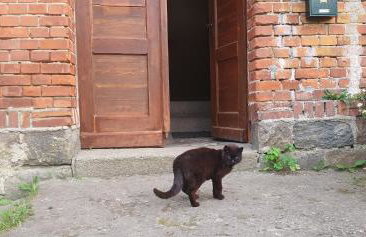 Mazurska przystań - Foto 21