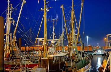 Am DeichLand - Wohnung Landsicht - Foto 20
