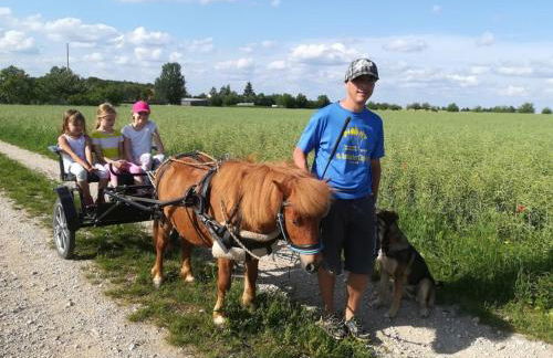 Ferienhof Veit - Foto 29