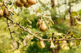 Lugar del Rio - Foto 49