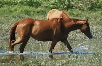 Casa Lusitano by Valada Village - Foto 42