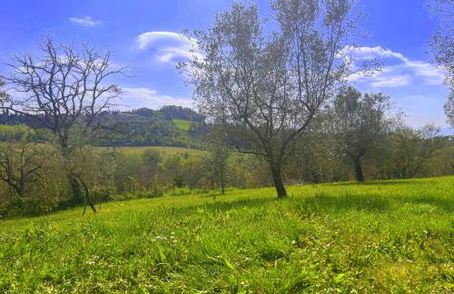 Casale la Civetta con piscina privata - Foto 24