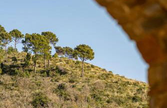 BORGO DEL FRANCO - Foto 14