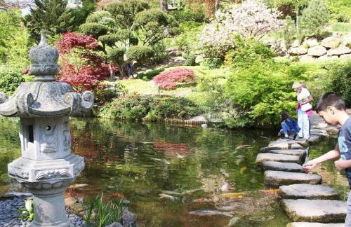 Flower magic at the Birnbaumhof - Foto 13