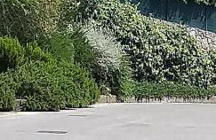 la casa del pittore Anna house - Photo 27