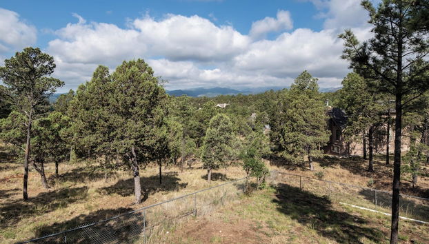 Christi and Don's Nuthouse by Ruidoso Vacation Rentals - Foto 4, Servicios del alojamiento