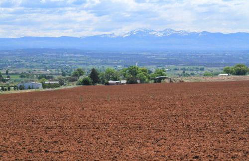 Unique Cortez Family Getaway with Mountain Views! - Foto 41