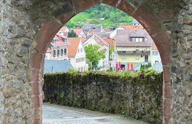 Nibelungen 4 Zimmer Apartment - Foto 57