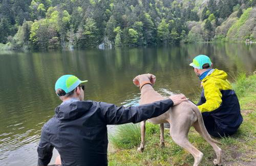 Chalet vue panoramique, Gaschney, Vosges, Colmar - Foto 17
