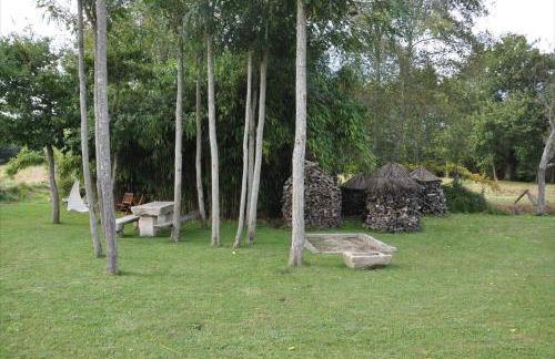 Os Lambráns - Foto 94