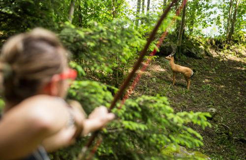 Quader nidi nel verde - Foto 81