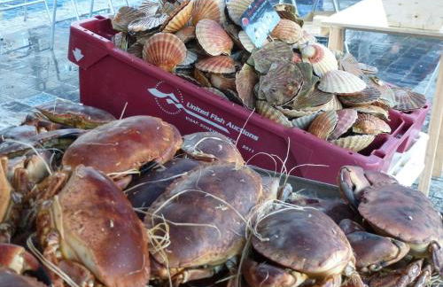 Holiday Home Near Goelo Coast & Beaches - Foto 38